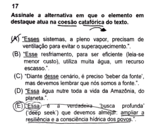prova-ministerio-publico-rs-comentada-questao-17